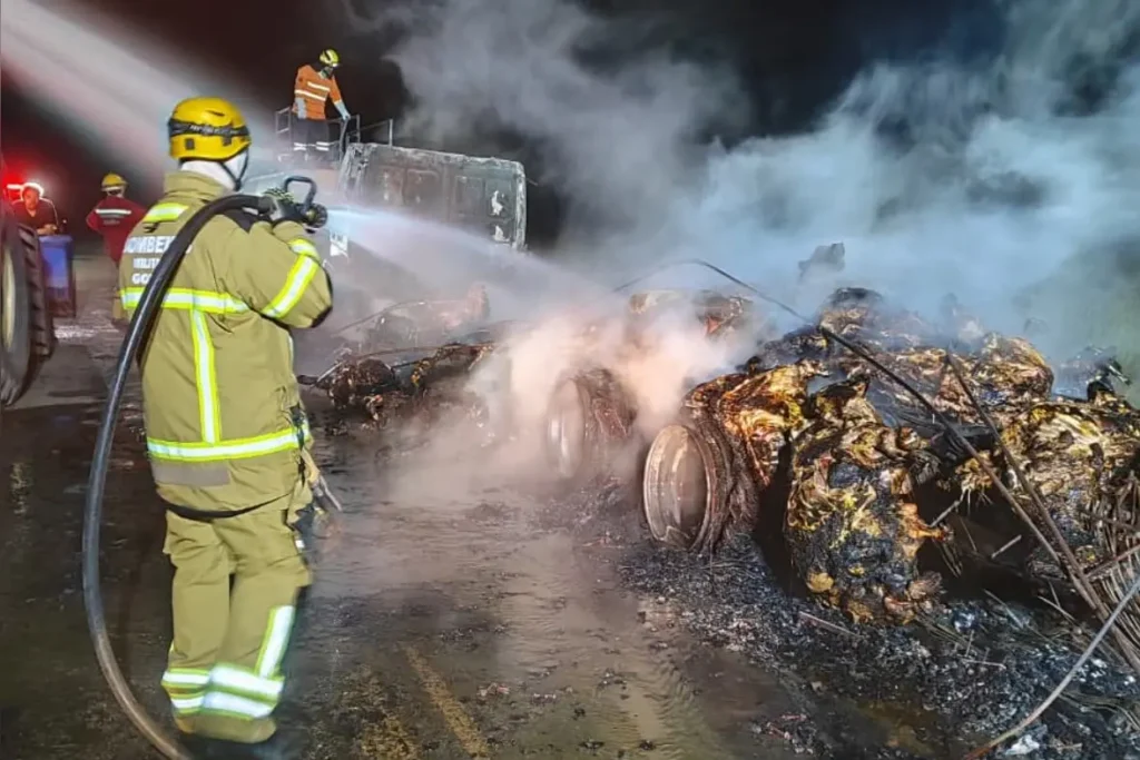 Fogo destrói caminhão e mata 53 bezerros em Goiás