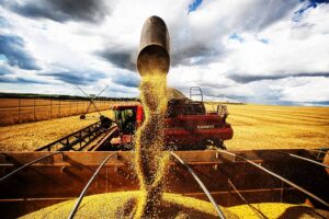 Conab prevê safra de cana 4,7% maior em 2026/2027