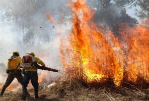 Bombeiros atendem 38 incêndios em vegetação neste sábado no DF