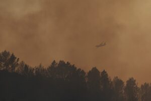 Incêndios florestais avançam na Grécia, França e Espanha