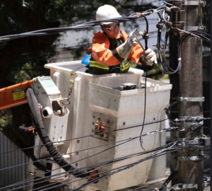 distribuição. manutenção de rede. foto divulgação neoenergia