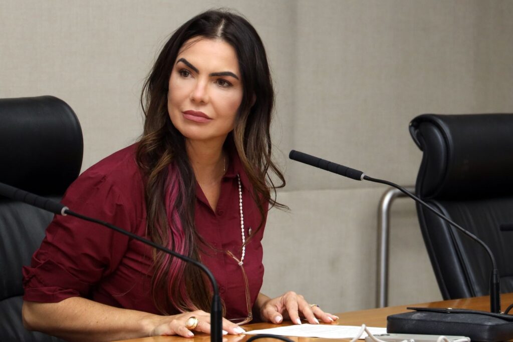Paula Belmonte promete revitalizar W3 Norte e quer BRB financiando retomada do comércio
