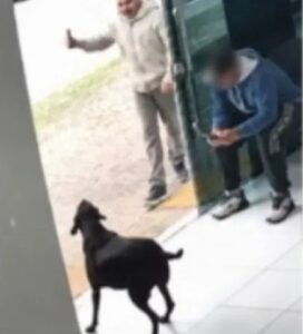 PM que matou a tiros cão comunitário