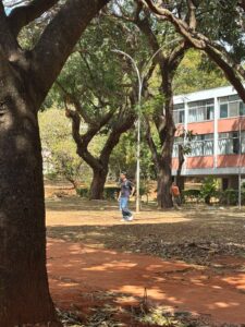 Termômetros chegam a 33°C e DF enfrenta semana de calor e seca