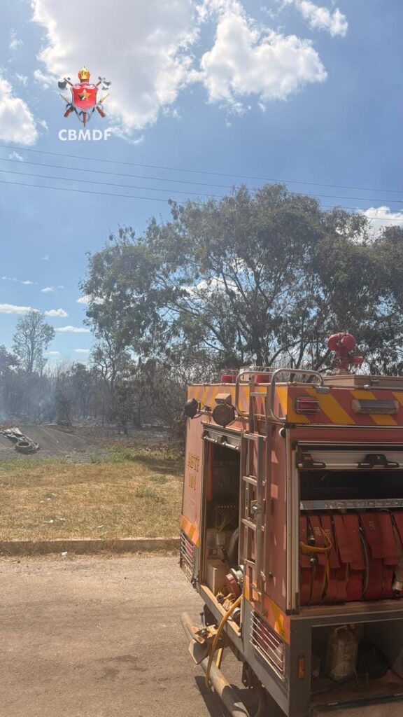 Incêndio em vegetação no Parque Ecológico do Guará é controlado pelo Corpo de Bombeiros