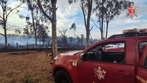 Bombeiros registram 40 incêndios em vegetação no DF em um único dia