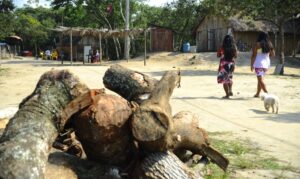 Comunidades criam soluções para enfrentar a crise climática