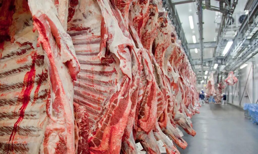 Abiec: cota de carne dos EUA é oportunidade para indústria, mas com efeito reduzido em margens
