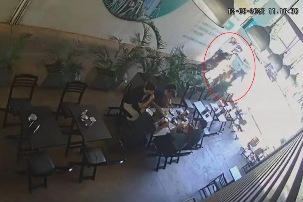 Homem que chutou criança de 5 anos na cabeça na Asa Sul foi detido duas vezes