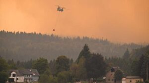 Europa combate incêndios; chuva alivia o cenário na Bélgica