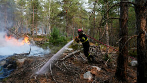 Área de incêndios florestais na Europa pode triplicar com mudança climática