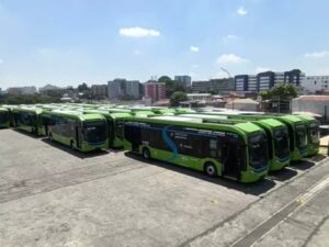 ônibus elétricos