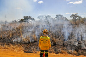 DF registra 46 incêndios em vegetação neste sábado (29)