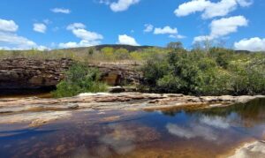 Pantanal depende de cinco biomas para enfrentar mudanças climáticas