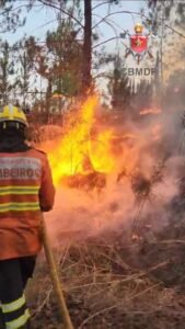 TJDFT mantém condenação por incêndio no Park Way