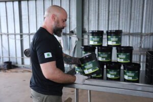 DF reforça prevenção da dengue ao longo do ano