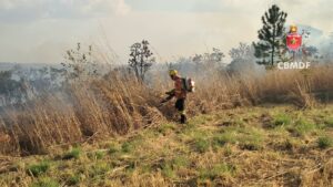 DF registra 46 incêndios em vegetação em apenas um dia, aponta Corpo de Bombeiros