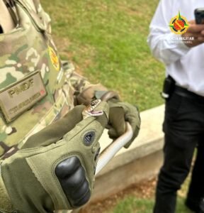 Cobra é resgatada dentro de uma escola no Lago Sul