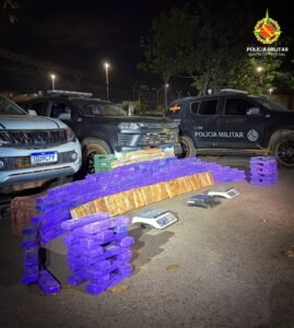 Baia de cavalos escondia R$ 650 mil em drogas em Samambaia