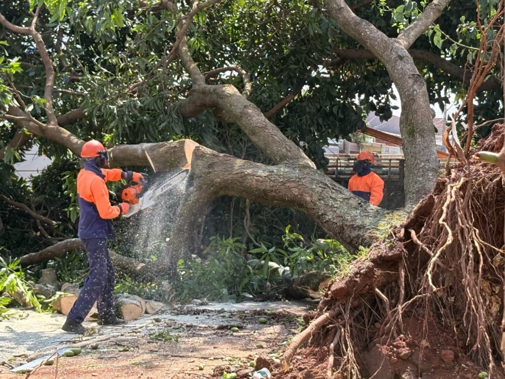 Temporal deixa rastro de destruição em Samambaia, Planaltina e Arapoanga