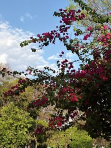 Chegada da Primavera no Distrito Federal é marcada por calor, retorno das chuvas e alertas de tempestades