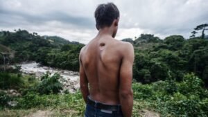 Brasil teve 26 assassinatos de ambientalistas em 2025 e ocupa 2° lugar em ranking global