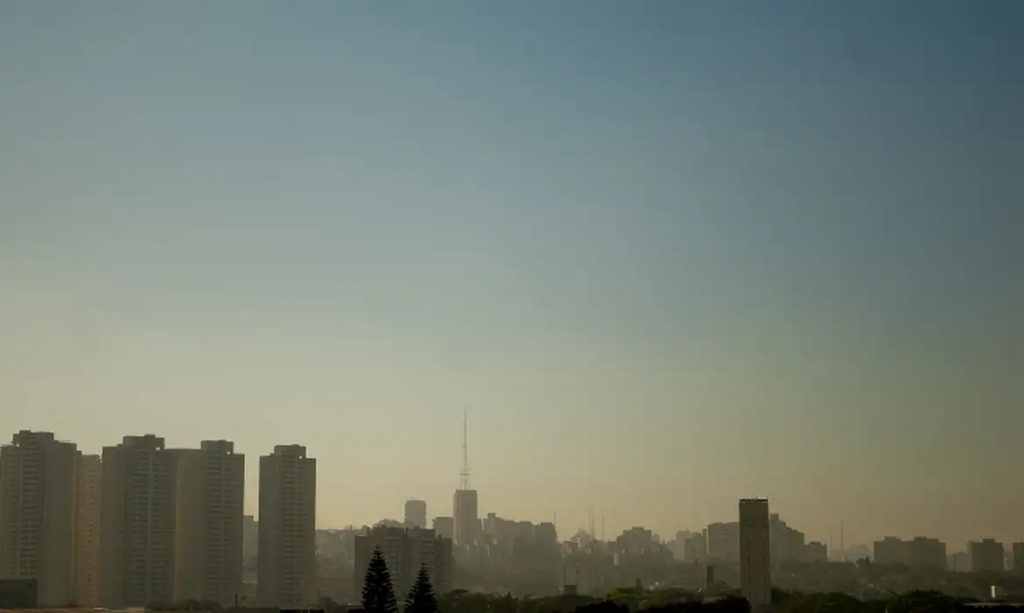Pesquisa aponta clima como prioridade, mas abaixo de outros temas