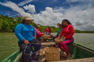 Mapeamento destaca mulheres e populações negras na pesca artesanal