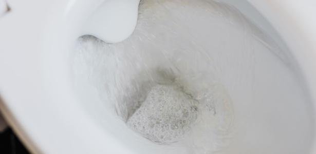 Descarga lança nuvem de cocô para cima, diz estudo; veja por quanto tempo
