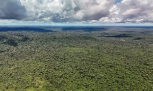 Fazenda autoriza crédito de US$ 1 bilhão do BID ao Eco Invest Brasil
