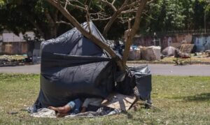 População ocupada chega a 103,5 milhões, a maior da série histórica, afirma IBGE
