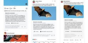 Checadores criticam testes de Notas da Comunidade da Meta na AL