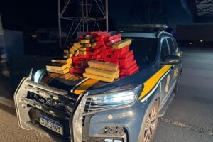 Homem é preso com 80 kg de maconha escondidos em caminhão em GO