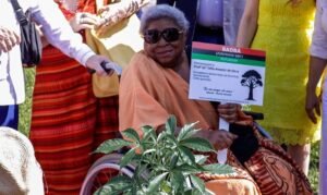 Morre Zélia Amador de Deus, referência da luta antirracista