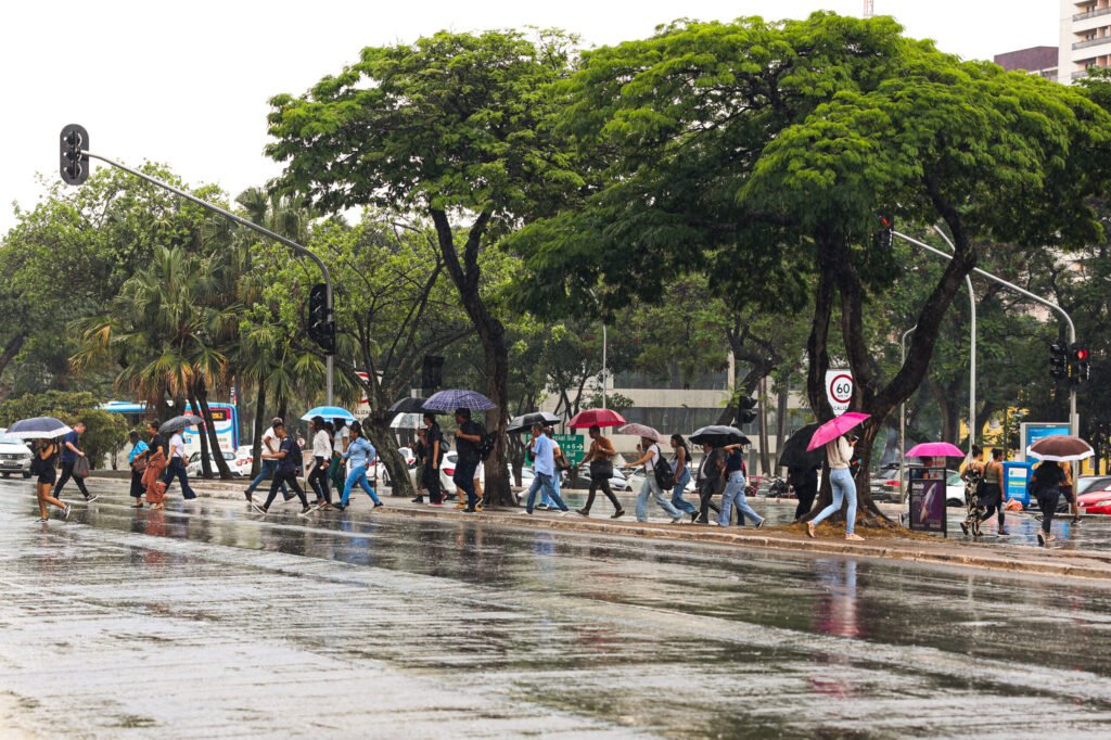 Chuva marca início da pré-estação chuvosa no DF