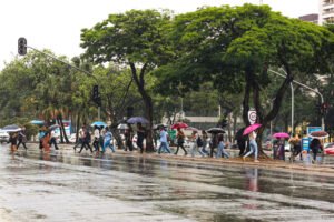 Chuva marca início da pré-estação chuvosa no DF