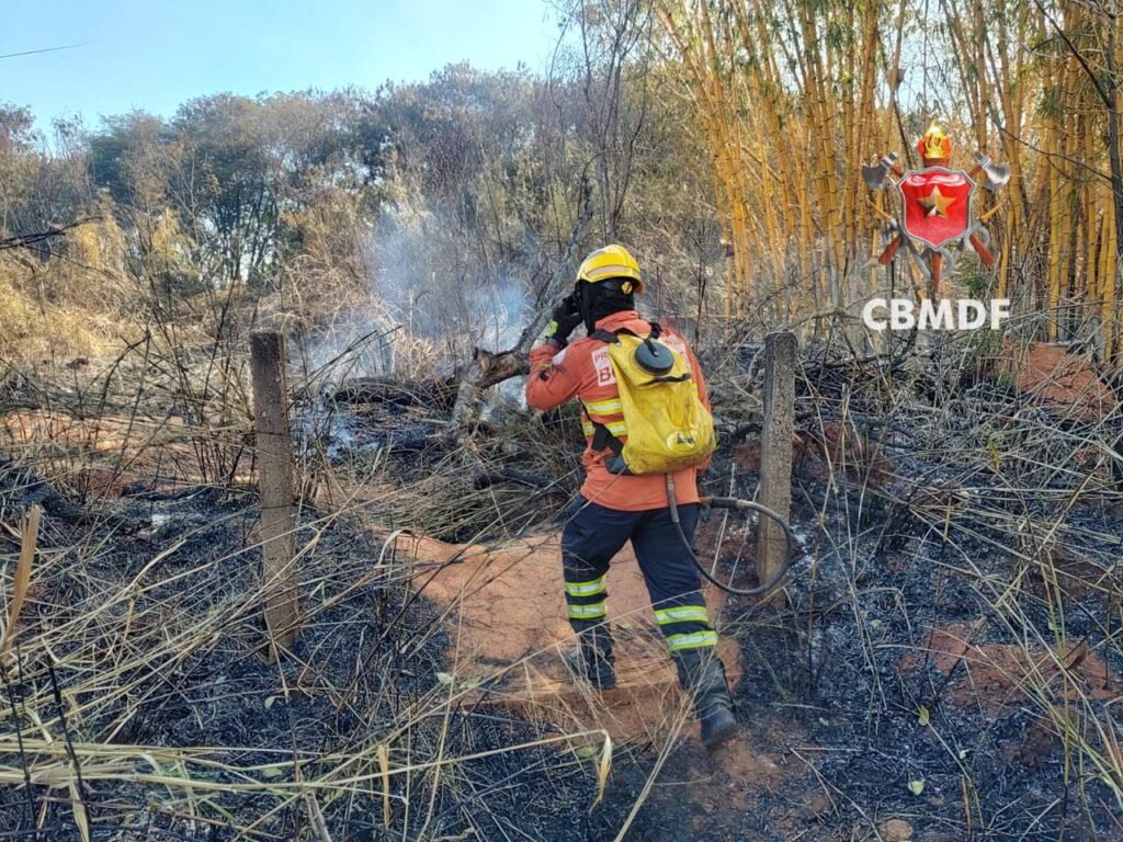 Bombeiros registram 12 incêndios em vegetação no DF no domingo (18)