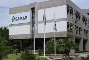Cenoura caiu no atacado em setembro e continuou em baixa no início de outubro, diz Conab