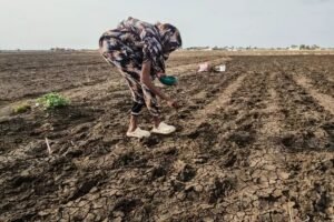 CAF ativa linha de crédito para países afetados pelo El Niño