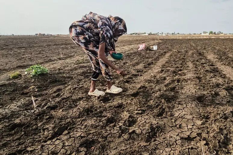 CAF ativa linha de crédito para países afetados pelo El Niño