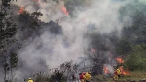 Incêndio que ameaçava principal acesso a Machu Picchu é extinto