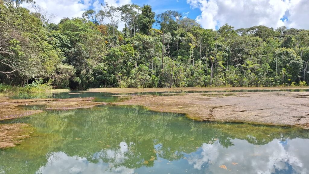 Sema-DF prorroga prazo para projetos ambientais e amplia parcerias para 24 meses