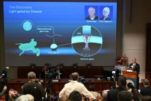 Nobel de Medicina de 2026 premia os avanços da optogenética