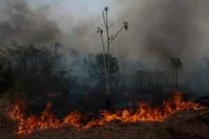 FAB envia aviões para ajudar no combate a queimadas no Amazonas