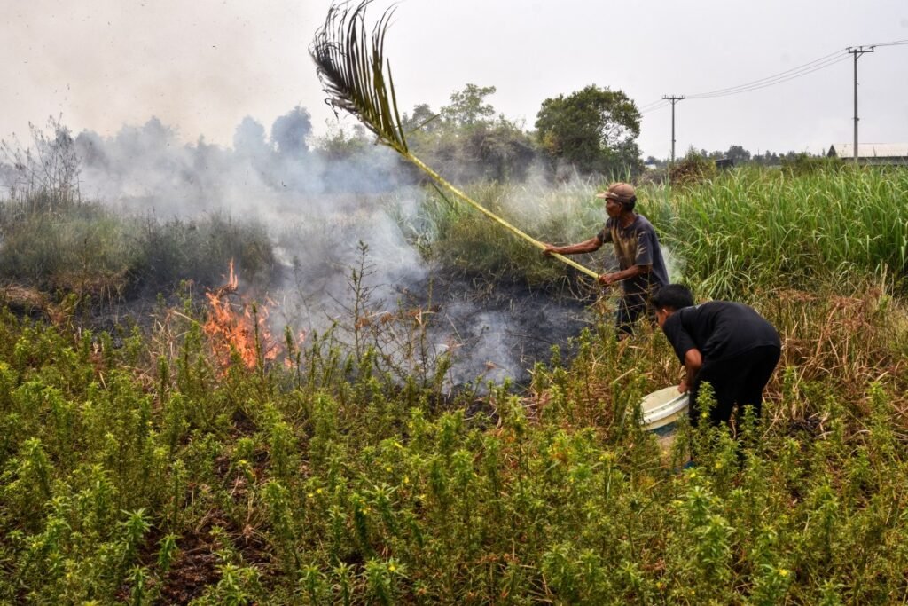 Fumaça de incêndios florestais da Indonésia atinge ao menos 4 países