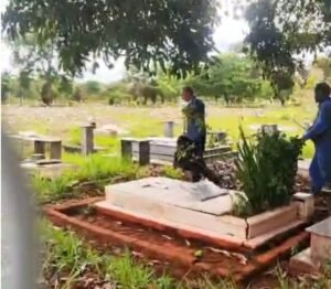 Homem é preso por furtar placas de lápides na Asa Sul