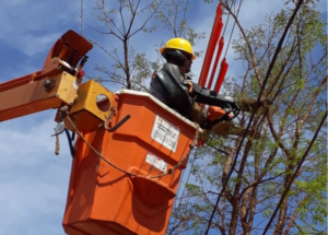 fios de energia e arvores. foto divulgacao 3 (1)