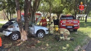 Motorista morre após carro bater contra árvore na BR-020