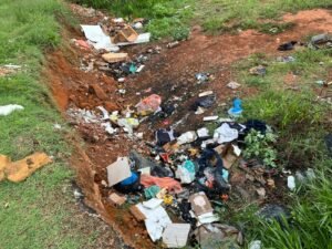 Lixo e entulho tomam espaços públicos e preocupam moradores do DF