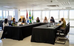 DPDF e Defensoria do Paraguai se reúnem em Brasília para trocar experiências sobre a garantia de direitos